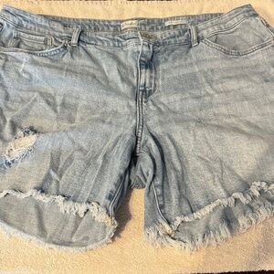 Women's Wonderly Jean Shorts - Size 18W
